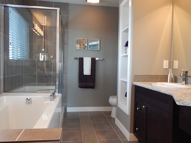 bathroom-881124_640