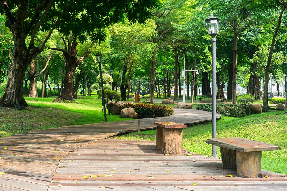 caminos de madera