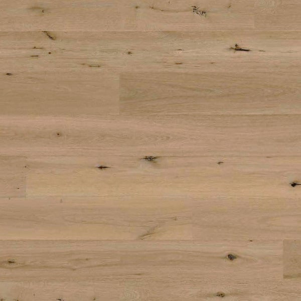 ROBLE BRIDA - Imagen 2